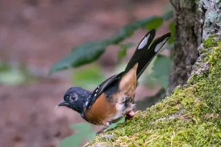  DSC7429 03