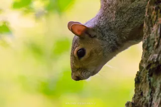 DSC 0479 01